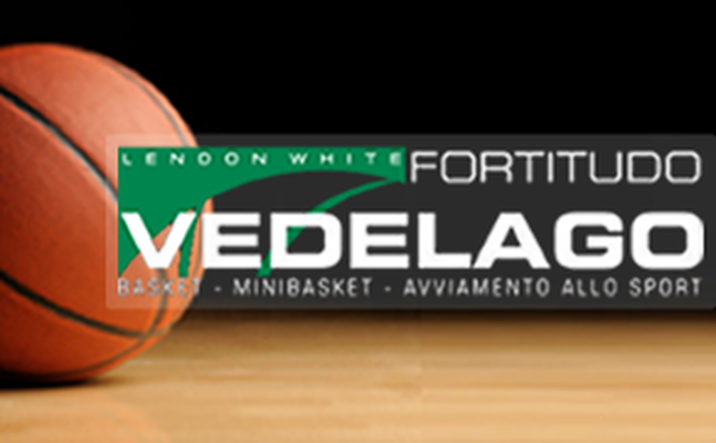 fortitudo_vedelago