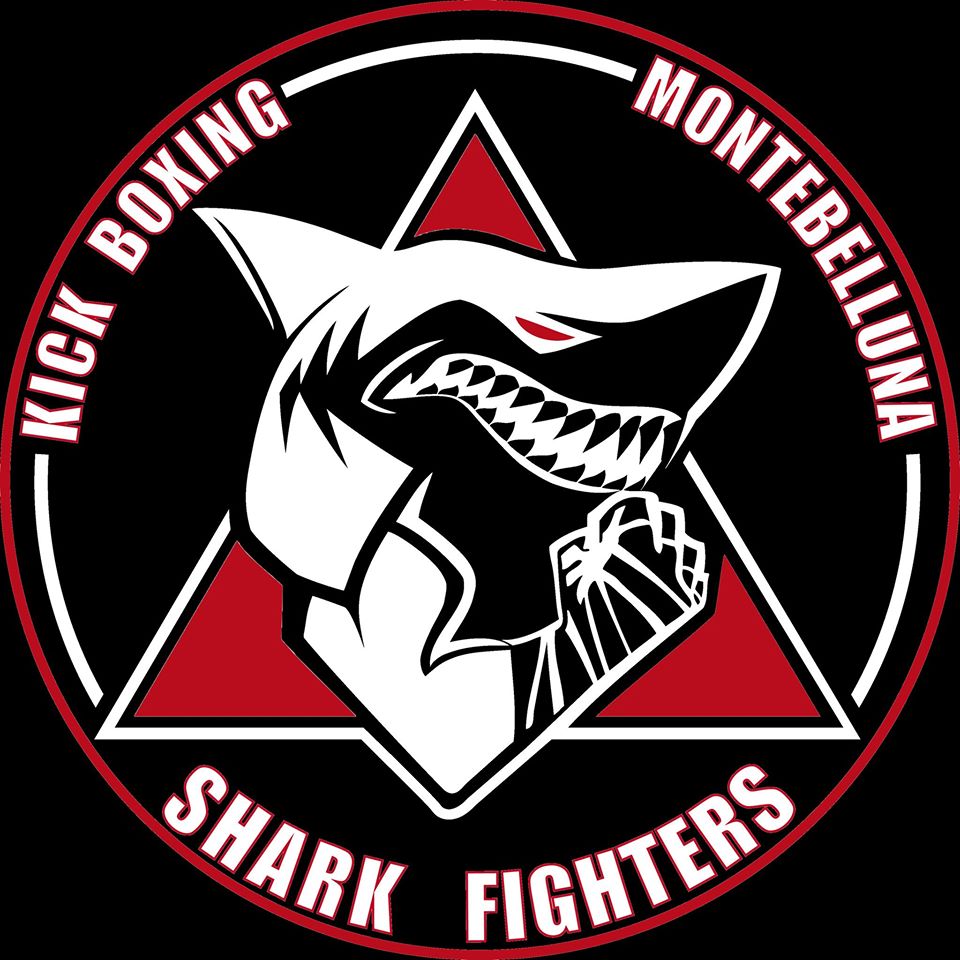 shark-fihgters